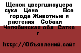 Щенок цвергшнауцера сука › Цена ­ 25 000 - Все города Животные и растения » Собаки   . Челябинская обл.,Сатка г.